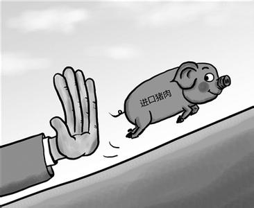 我國(guó)不會(huì)大規(guī)模進(jìn)口豬肉 自給率接近99%