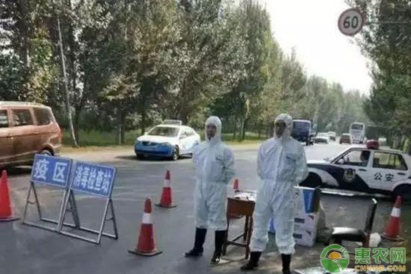 “非洲豬瘟”出現(xiàn)那么市場上的豬肉還能吃嗎？（附豬瘟防治措施）