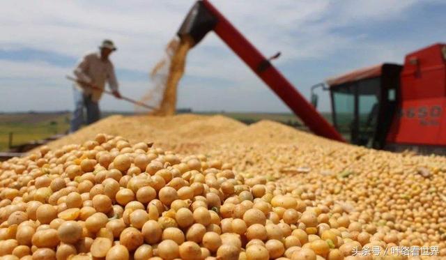 美國大豆出口大會閉幕，中國買家一顆沒買